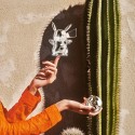 Коллекция Декоративные предметы бренда Baccarat