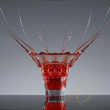 Стакан для Old Fashioned, 2шт. 280мл коллекции Harcourt 