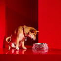 Миска 22см коллекции Louxor бренда Baccarat