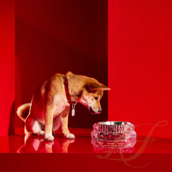 Миска 22см коллекции Louxor бренда Baccarat