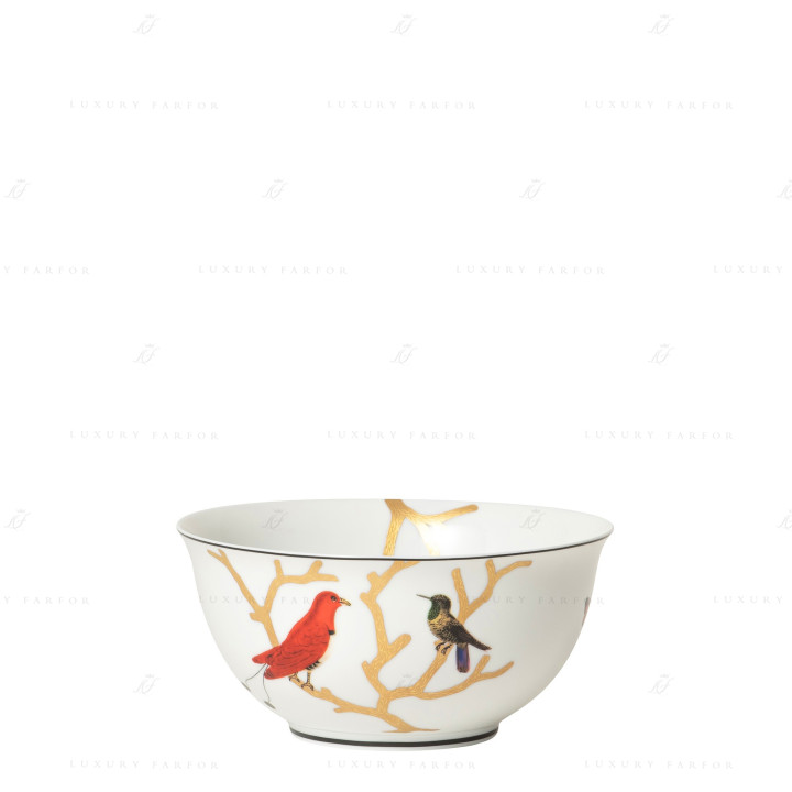 Чаша для спагетти 17см коллекции Aux Oiseaux бренда Bernardaud