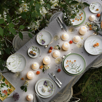 Коллекция Jardin Indien бренда Bernardaud