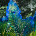 Коллекция Fleur de Paon Exotique бренда Daum