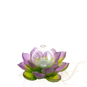 Солифор 19,5см коллекции Jardin de Lotus бренда Daum