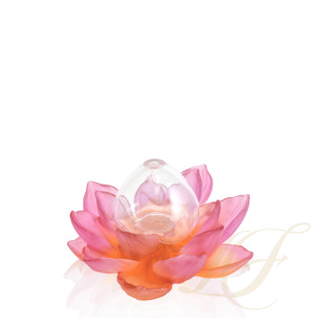 Солифор 19,5см коллекции Jardin de Lotus бренда Daum