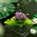 Коллекция Jardin de Lotus бренда Daum