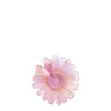 Подставка для ножей 5,5см, 2шт. коллекции Or d'abeille бренда Daum