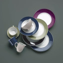 Коллекция Solid Color Lichtgrau бренда Dibbern