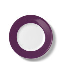 Тарелка 28см коллекции Solid Color 