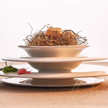 Чаша бульонная 17см коллекции Aria бренда Richard Ginori