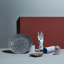 Коллекция Mano Di Gio Ponti бренда Richard Ginori