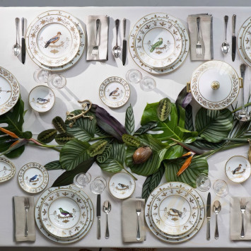 Коллекция Voliere бренда Richard Ginori