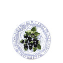Тарелка закусочная 22см коллекции Oiseau Bleu Fruits бренда Gien