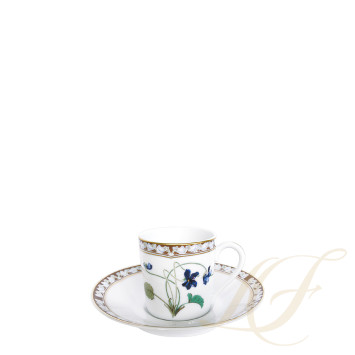 Чашка эспрессо с блюдцем 0,055л коллекции Imperatrice Eugenie бренда Haviland