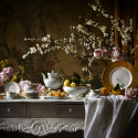 Коллекция Opera бренда Haviland