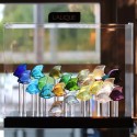 Аквариум для 25 рыбкок (без рыбок, с подсветкой) 33см коллекции POSM Displays бренда Lalique