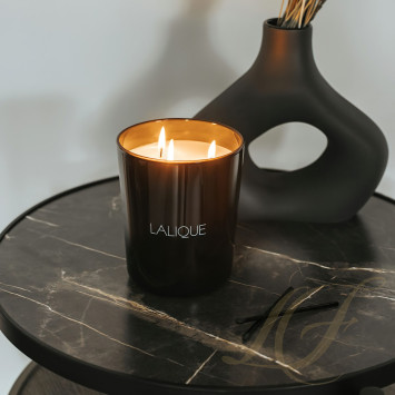 Ароматическая свеча 600г. коллекции Voyage de Parfumeur 