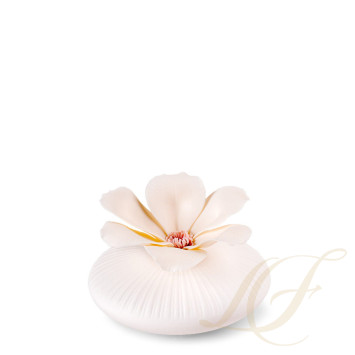 Ароматический диффузор 