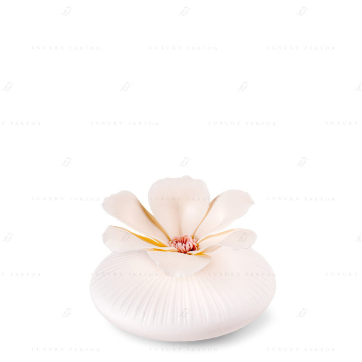 Ароматический диффузор 