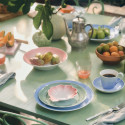 Коллекция Iris бренда Royal Copenhagen