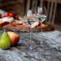 Коллекция Sommeliers бренда Riedel