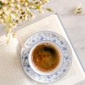 Чашка Café au lait с блюдцем 0,3л коллекции Form 1382 Blaublüten бренда Rosenthal