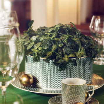 Салатник 23см коллекции Francis Carreau Vert бренда Rosenthal