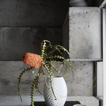 Ваза 22см коллекции Phi 