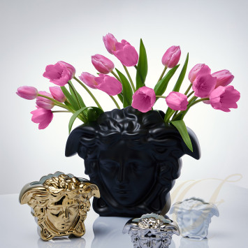 Коллекция Medusa Grande бренда Rosenthal Versace