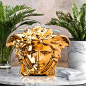 Коллекция Medusa Grande бренда Rosenthal Versace