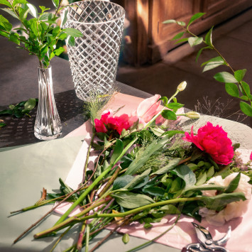 Коллекция Sofia - Stella бренда St. Louis