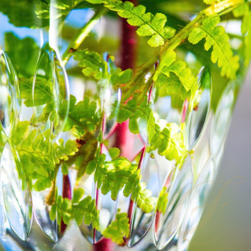 Коллекция Stella бренда St. Louis