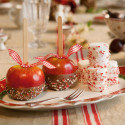 Блюдо овальное 50см коллекции Toy‘s Delight бренда VB