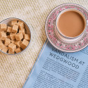 Коллекция Florentine Fuchsia бренда Wedgwood