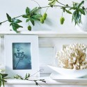 Коллекция White Folia бренда Wedgwood