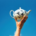 Коллекция Wild Strawberry Inky Blue бренда Wedgwood