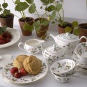 Коллекция Wild Strawberry бренда Wedgwood