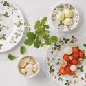 Коллекция Wild Strawberry бренда Wedgwood