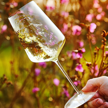 Бокал универсальный 530мл коллекции Denk`Art бренда Zalto