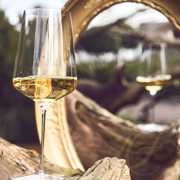 Бокал универсальный 530мл, 6шт. коллекции Denk`Art бренда Zalto