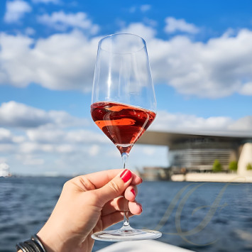 Бокал для белого вина 400мл коллекции Denk`Art бренда Zalto